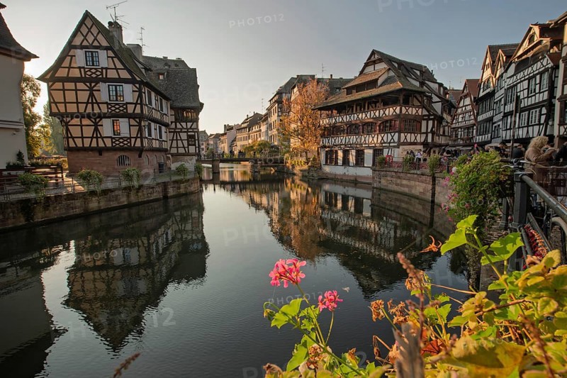 The colorful half-timberne houses of Little France are reflected in the calm waters of the river in Strasbourg. The sun is shining and provides a warm light in this charming historic location. Strasbourg, Bas Rhin, Alsace, France