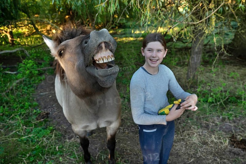 Laughing young girl next to her whining horse, Othenstorf. Mecklenburg-Vorpommern, Germany