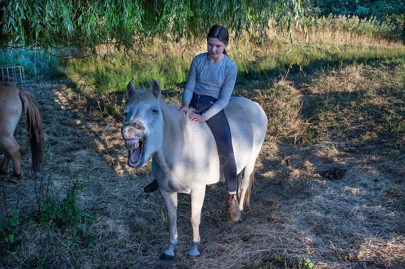 Young girl rides on her whining white mare in the moor area, Othenstorf, Mecklenburg-Western Pomerania, Germany