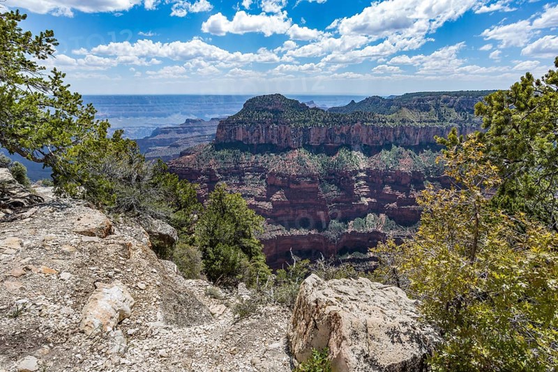 North Rim of the Grand Canyon in Northern Arizona, USA