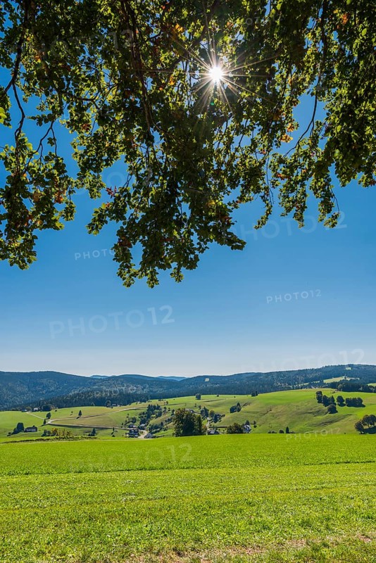 Landscape on the Schauinsland, local mountain of Freiburg im Breisgau