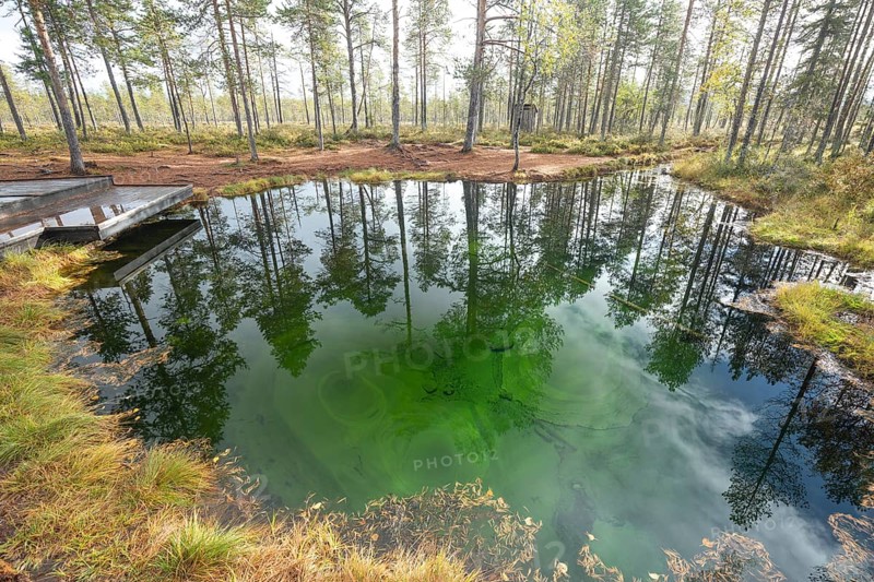 Emerald green spring water reflects autumn trees. Frog spring in the moor, wetland in Arvidsjaur, Sweden