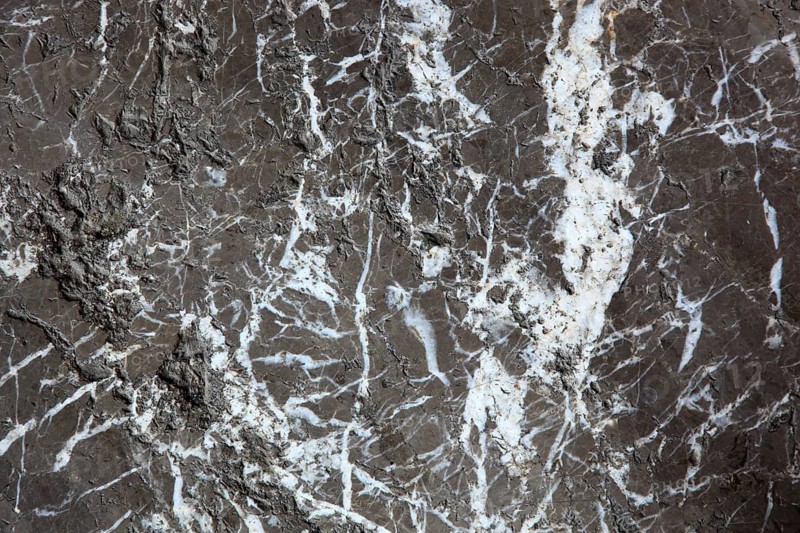 Dark marble with distinctive white veins and contrast