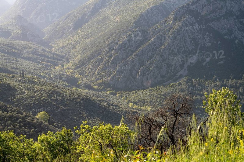 Valley in the countryside near the archaeological site of Delphi, UNESCO World Heritage Site in Delphi, Greece