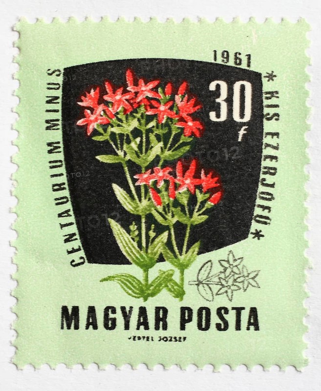 Medicinal plant as stamp motif, Centaurium minus, thousandwort, Hungary