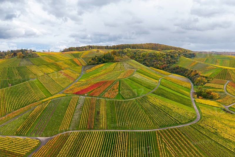 Colourful vineyards and fields in autumn colors under cloudy sky, near StrÃ¼mpfelbach im Remstal, Rems-Murr-Kreis, Baden-WÃ¼rttemberg, Germany