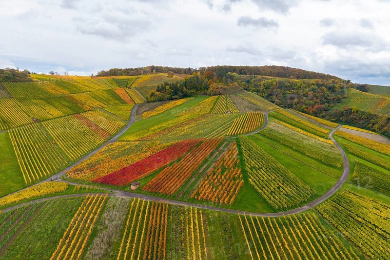 Landscape with colorful vineyards and clouds in the sky, autumn, near StrÃ¼mpfelbach im Remstal, Rems-Murr-Kreis, Baden-WÃ¼rttemberg, Germany