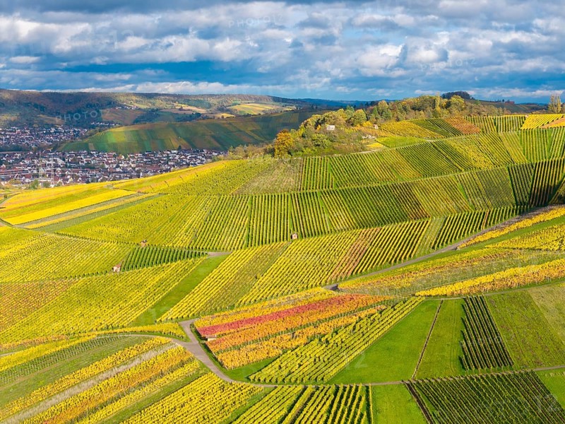 Landscape view of hills full of colorful vines with a village and clouds in the background, autumn, near StrÃ¼mpfelbach im Remstal, Rems-Murr-Kreis, Baden-WÃ¼rttemberg, Germany