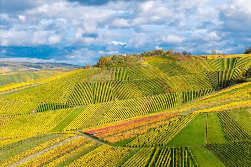 The intense colors of the vineyards contrast with the cloudy sky in an autumn landscape, near StrÃ¼mpfelbach im Remstal, Rems-Murr-Kreis, Baden-WÃ¼rttemberg, Germany