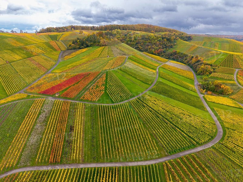 Diverse colors of the vineyards with shady skies above, autumn, near StrÃ¼mpfelbach im Remstal, Rems-Murr-Kreis, Baden-WÃ¼rttemberg, Germany