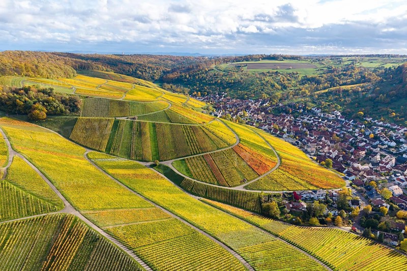 Colourful vineyards in autumn with a village in the background under a cloudy sky, autumn, near StrÃ¼mpfelbach im Remstal, Rems-Murr-Kreis, Baden-WÃ¼rttemberg, Germany
