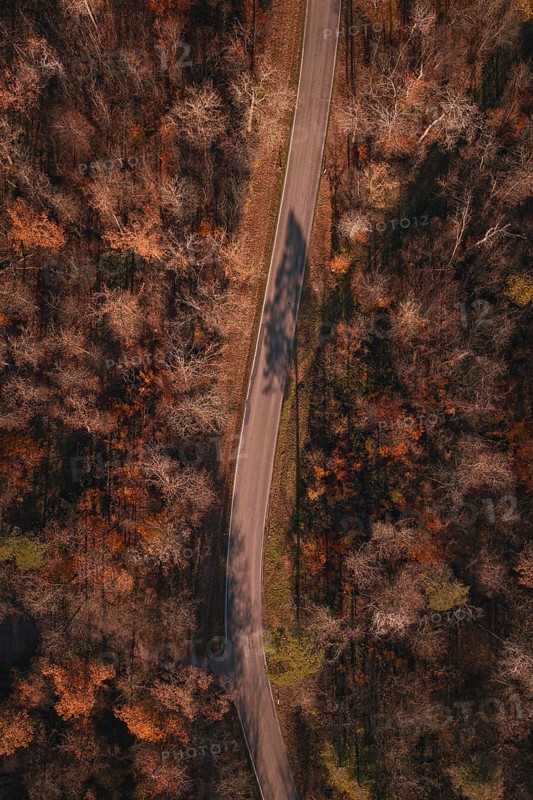 Winding road that runs through a thick, autumnal forest