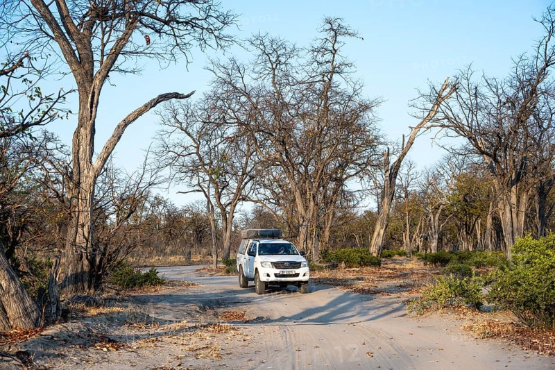 Safari car on a dust road, Moremi Game Reserve, Botswana