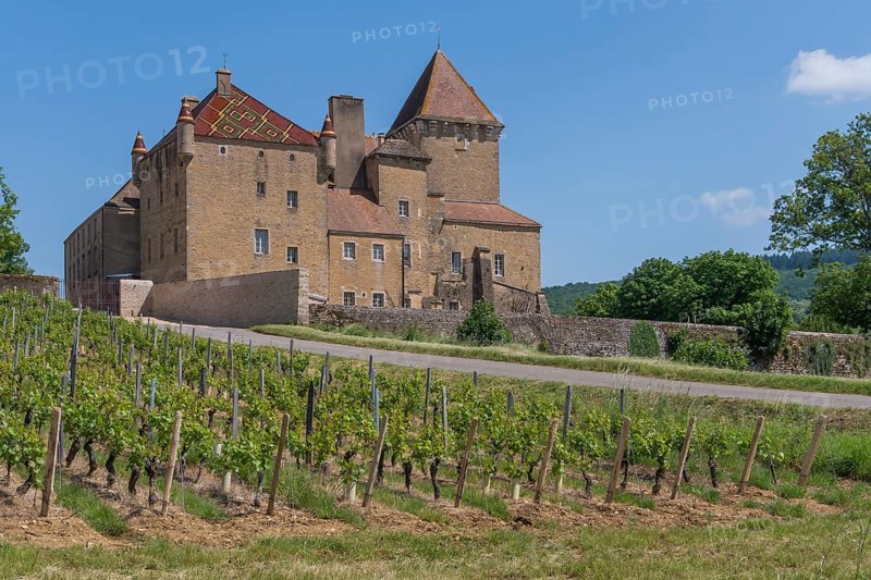 ChÃ¢teau de Pierreclos is a Romanesque castle complex in the French commune of Pierreclos in the SaÃ´ne-et-Loire department in the Bourgogne-Franche-Comté region