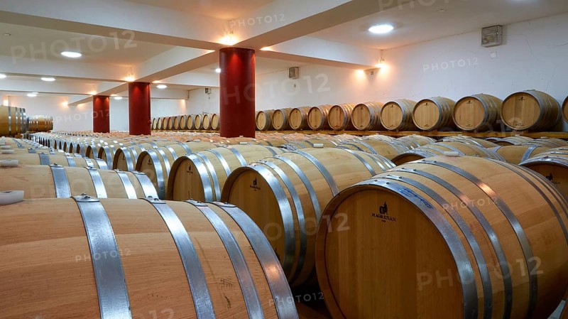Large wine cellar with lots of wooden barrels in long rows and red columns in a well-lit room, Papaioannou winery, Nemea wine region, Peloponnese, Greece