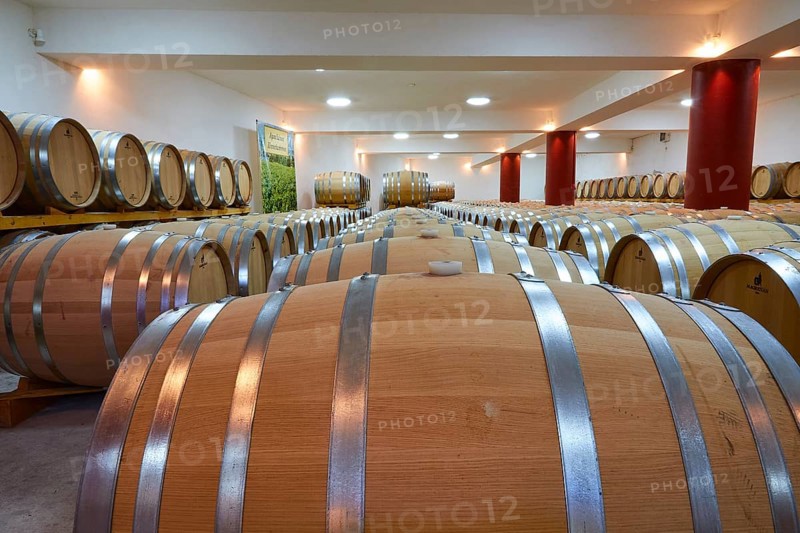 Long wine cellar with numerous wooden barrels and red columns, well lit, Papaioannou winery, Nemea wine region, Peloponnese, Greece