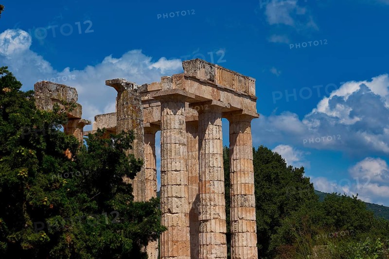 Detailed view of ancient temple columns against a wooded background with blue sky, Ancient Zeus Sanctuary, Archaeological Site, Nemea, Peloponnese, Greece