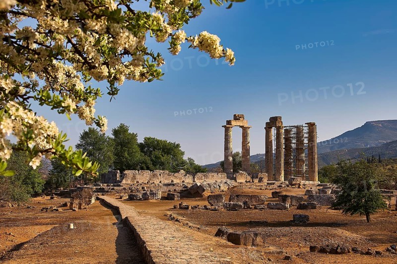 Ancient temple columns with blooming trees and mountains in the background under clear sky, Ancient Sanctuary of Zeus, Archaeological Site, Nemea, Peloponnese, Greece