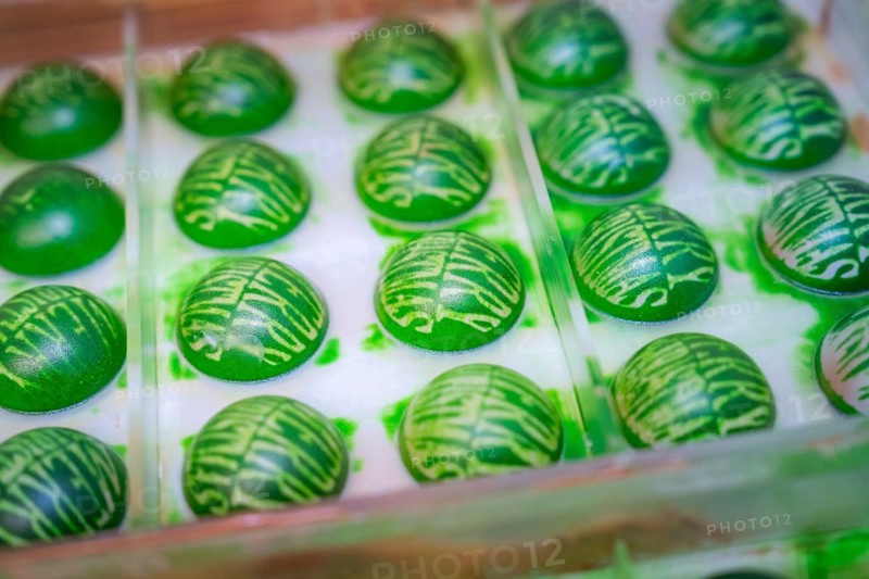 Green chocolate sweets with stripes in a chocolate mold, Christmas baking, Haselstaller Hof, Wildberg, Calw district, Germany