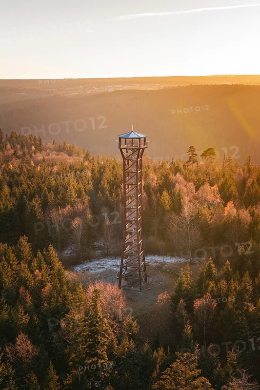 Slender observation tower rises above autumnal forest in evening light, Hohe Warte observation tower, Hohenwart, Pforzheim, Germany
