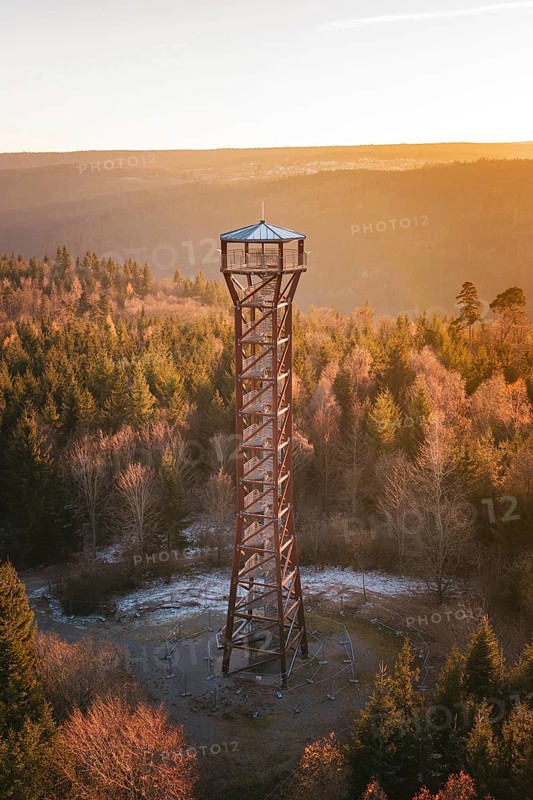 Tower rises above autumn tree landscape, illuminated by warm sunset, Hohe Warte observation tower, Hohenwart, Pforzheim, Germany