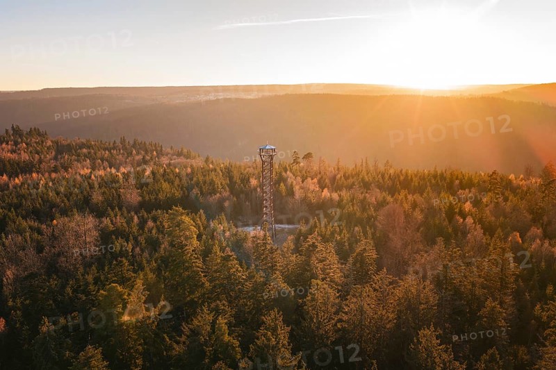 An observation tower is located in the dense, autumnal forest at sunrise, Hohe Warte observation tower, Hohenwart, Pforzheim, Germany