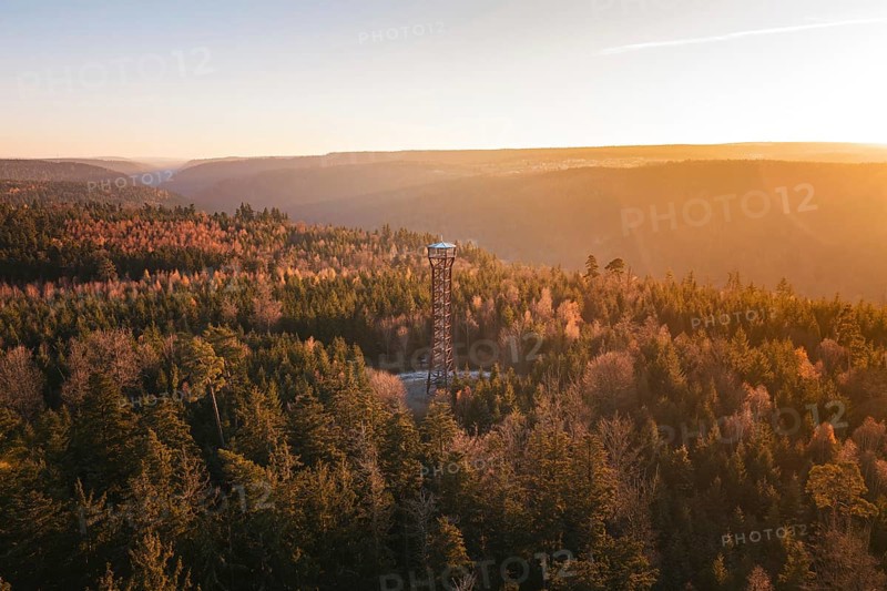 A vast forest landscape with a central observation tower at sunset, Hohe Warte observation tower, Hohenwart, Pforzheim, Germany