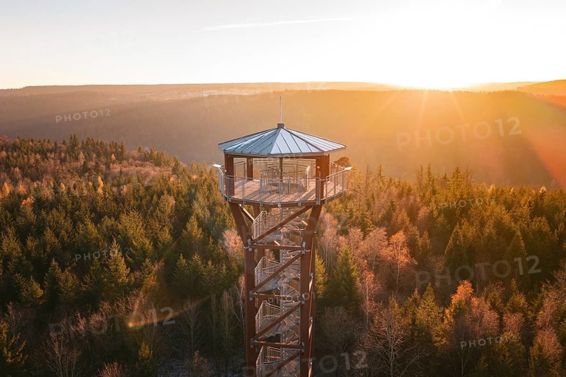 Upper part of an observation tower juts out of the surrounding forest in the light of sunset, Hohe Warte observation tower, Hohenwart, Pforzheim, Germany
