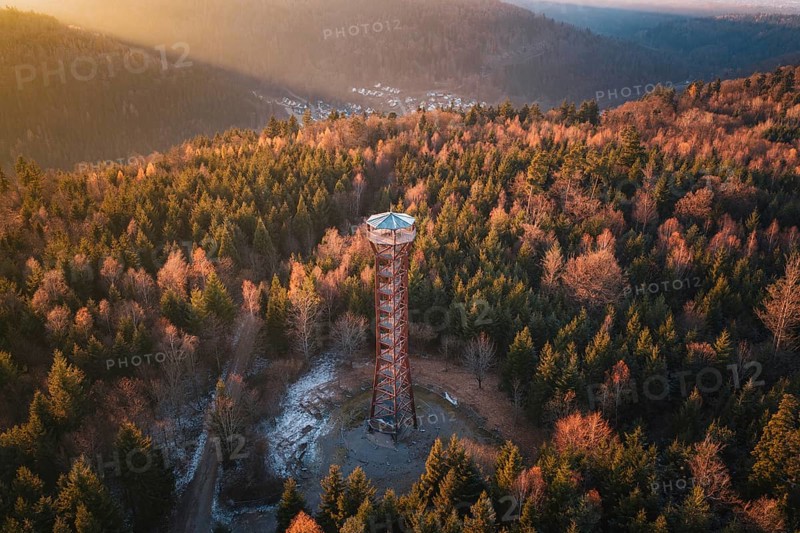High observation tower in the middle of a thick, autumnal forest viewed from afar, Hohe Warte observation tower, Hohenwart, Pforzheim, Germany