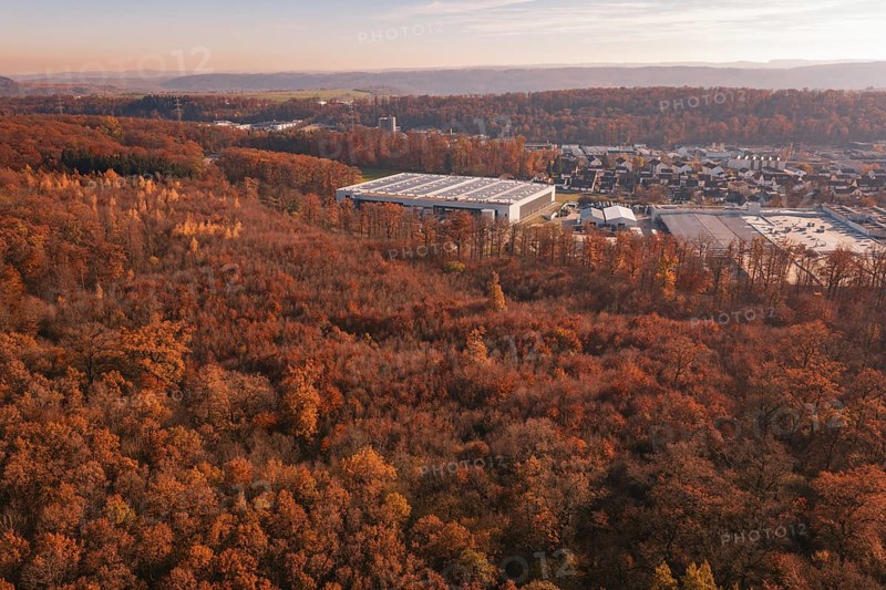 An extensive autumn forest with an industrial plant on the edge of the hill range, MÃ¼hlacker, Enzkreis, Germany