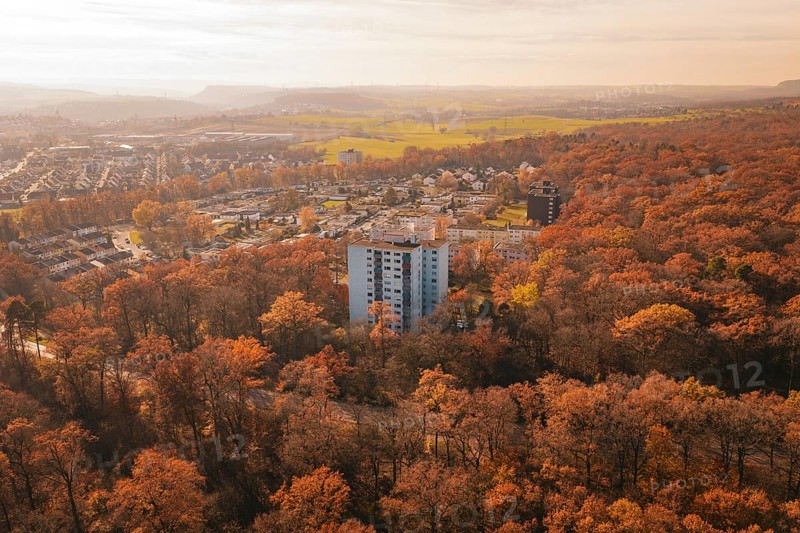 Residential area in the middle of a thick autumn forest with a tall building in the foreground, MÃ¼hlacker, Enzkreis, Germany