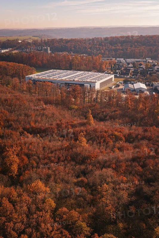 Factory building next to an autumn forest, with urban environment in the background, MÃ¼hlacker, Enzkreis, Germany