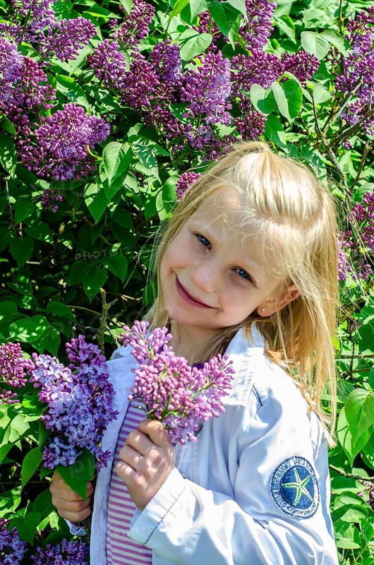 Little blonde 7-year-old girl stands surrounded by blooming lilacs and smiles at the camera in Ystad, SkÃ¥ne County, Sweden, Scandinavia