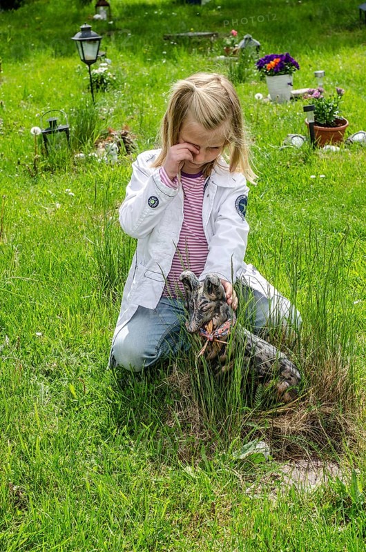 Grieving blonde 7-year-old girl at her dog's grave at pet cemetery in Ystad, SkÃ¥ne County, Sweden, Scandinavia