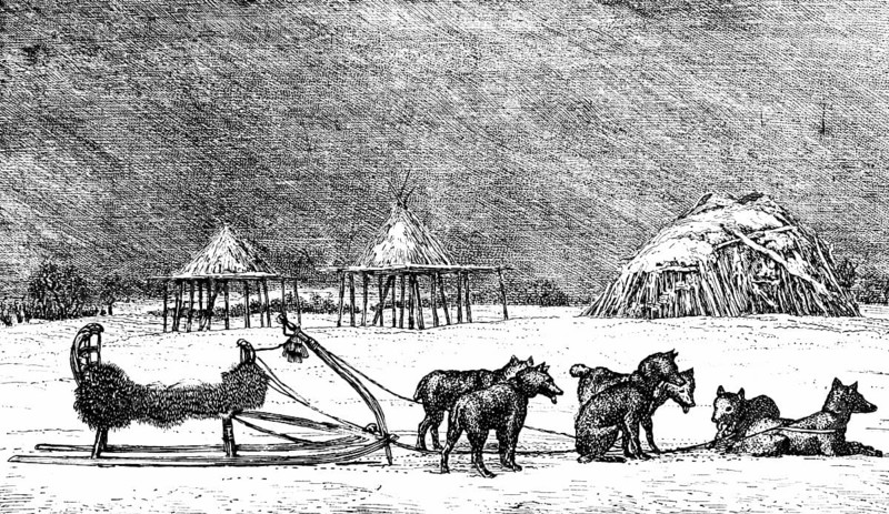 Dog sledding on the Kamchatka peninsula, sled dogs, husky with harness, cold climate, ice, snow, frost, cold, long winter stilt houses, pantries, wooden hut, break, Russia, Asia, travel, historical illustration around 1900