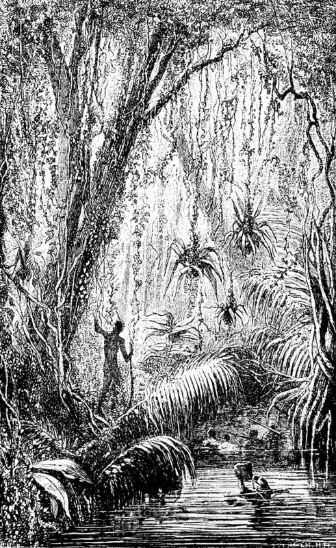 Indigenous and European researcher in the Brazilian jungle, river, inner tropics, tropical vegetation, tropical climate, dense vegetation, flora, biology, Brazil, South America, travel, historical illustration around 1900