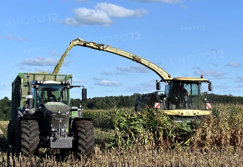 Forage harvesters harvesting corn, Schleswig-Holstein, Germany