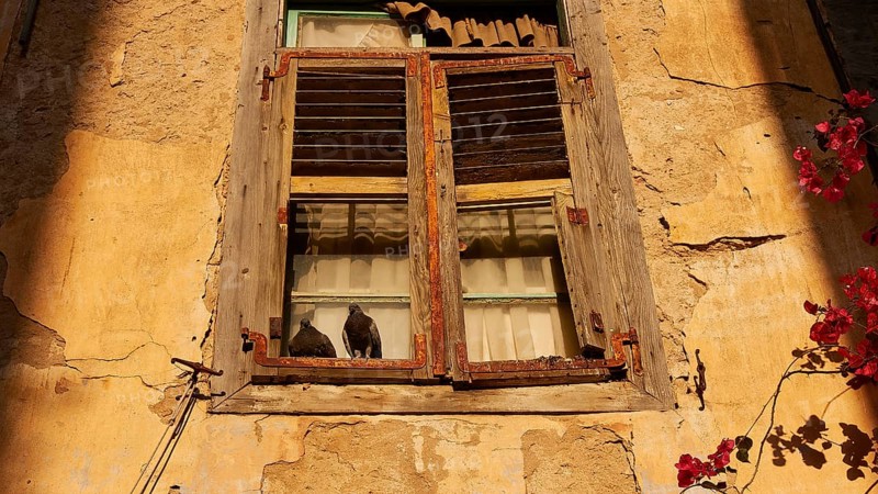 Old town of Nauplion, Two doves sitting on a sunlit window sill of an old faÃ§ade, Nauplion, Nafplion, Peloponnese, Greece