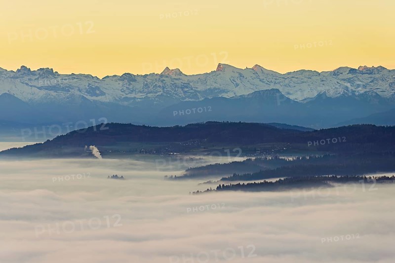 View from the Gisiflue over the sea of fog, with the snowy Central Swiss Alps with Mount Titlis in the morning light, Talheim, Canton, Aargau, Switzerland
