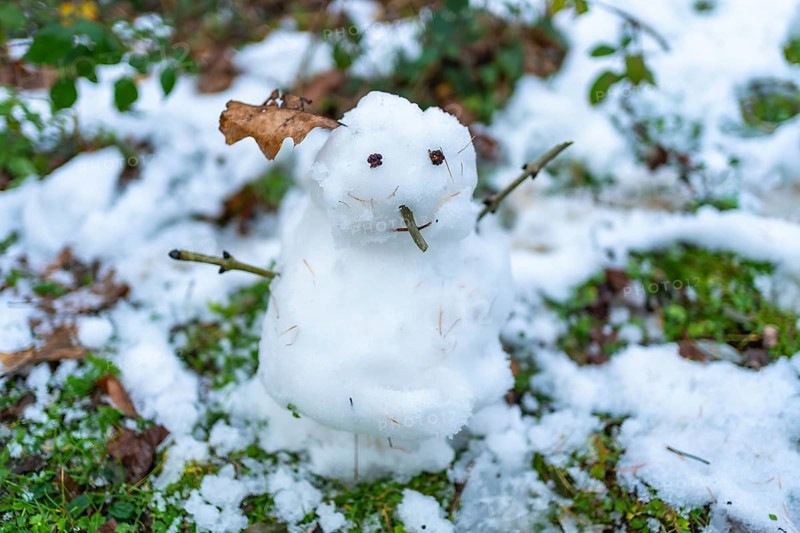 Small snowman standing in the forest, created from fresh white snow with stick arms, tiny twig nose, and berry eyes, demonstrating winter fun and creativity in nature