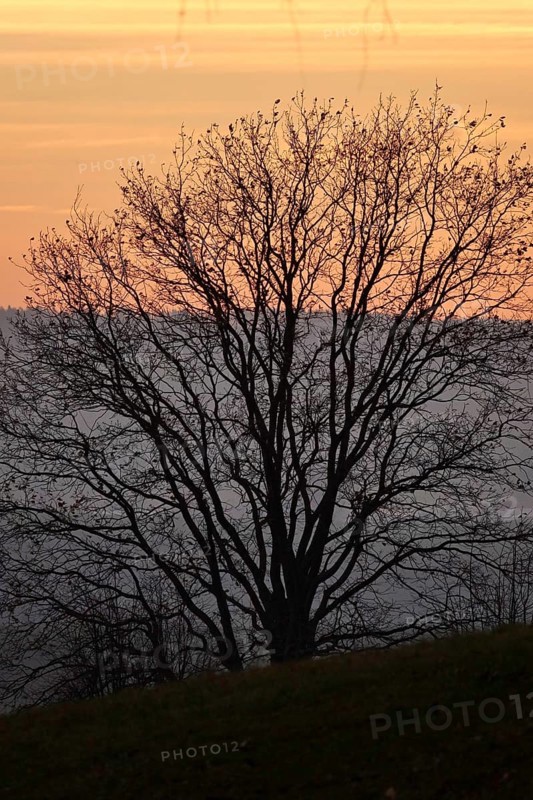 Landscape on an evening in autumn, November, Germany