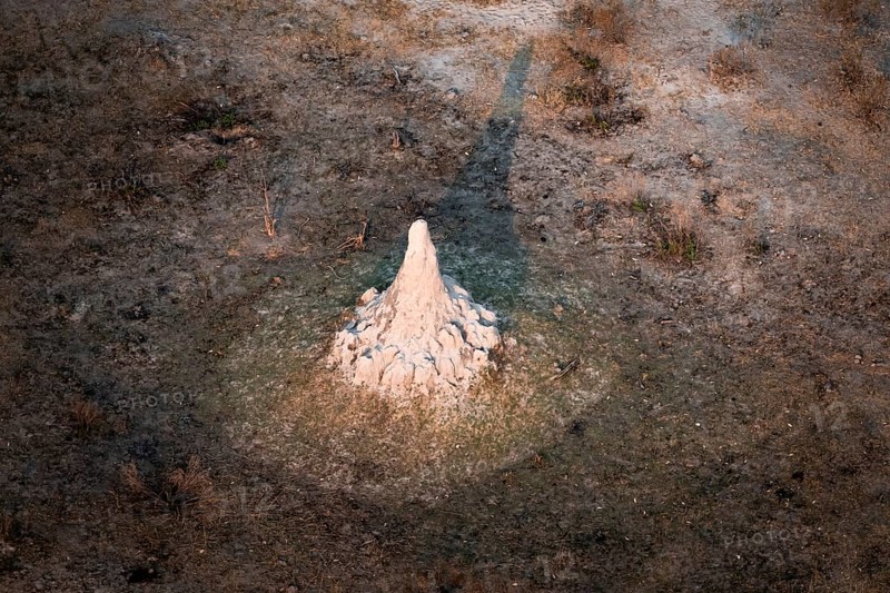 Single termite hill, landscape, aerial view of the Okavango Delta, near Maun, Okavango Delta, Botswana