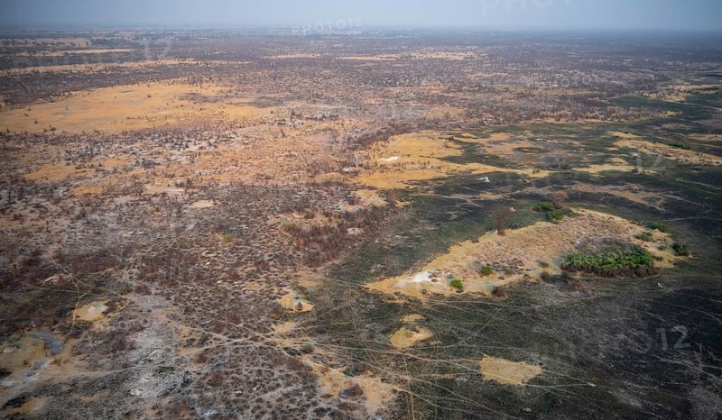 Dry season, structure and pattern of trails, burnt landscape, aerial view of the Okavango Delta, near Maun, Okavango Delta, Botswana
