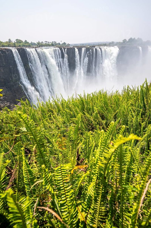 Water plunges into the depths, Victoria Falls with jungle and green plants, Zambezi, Zimbabwe