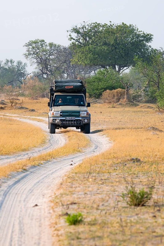 Off-road car, safari car driving on dust road, Third Bridge, Okavango Delta, Moremi Game Reserve, Botswana