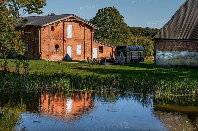 Manor with pond and pigsty from 1921, prefabricated sheep, Othenstorf, Mecklenburg-Western Pomerania, Germany