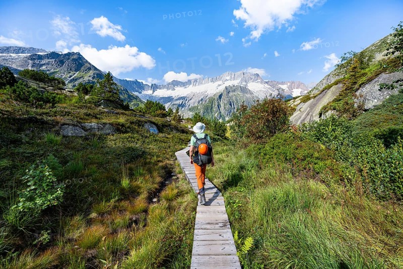 Mountaineers on wooden plank trail through mountain moor, in front of picturesque mountain scenery, Dammastock and Damma glaciers, Göscheneralp, Canton of Uri, Switzerland
