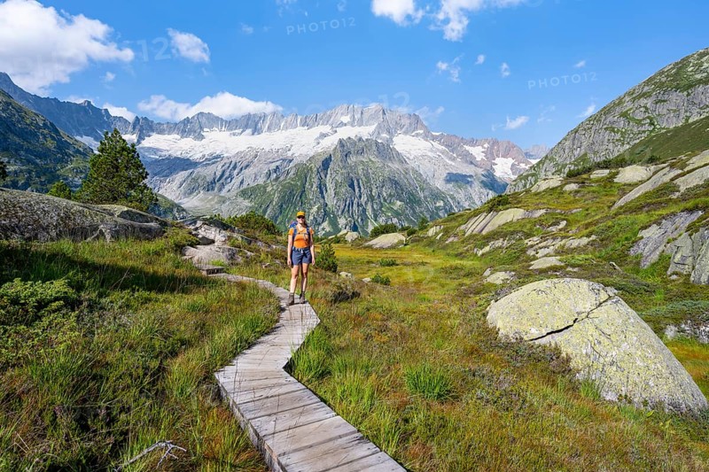 Female mountaineer on wooden plank path through mountain moor, in front of picturesque mountain scenery, Dammastock and Damma glaciers, Göscheneralp, Canton of Uri, Switzerland