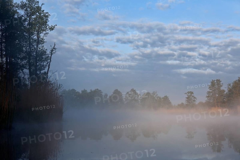 Foggy morning scene on a lake with reeds and cloudy sky, Peenetal nature park Park, Mecklenburg-Western Pomerania, Germany