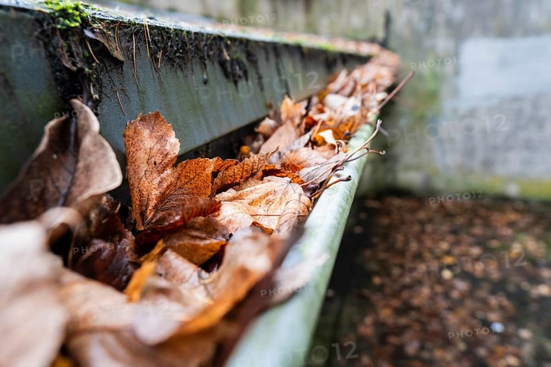 A clogged gutter is filled to the brim with brown, dry autumn leaves, Wuppertal, Germany